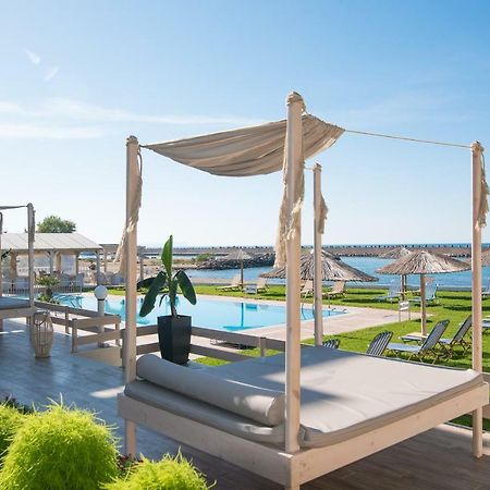 Silver Sun Studios & Apartments Malia Dış mekan fotoğraf